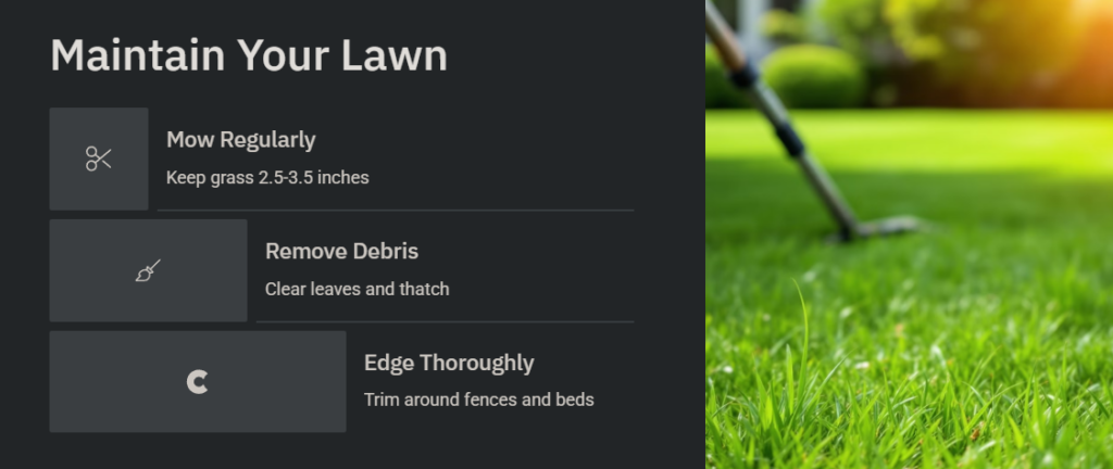 Maintain Your Lawn: Mow, Edge, and Weed